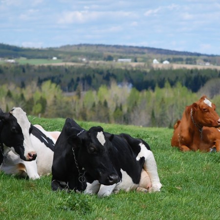 chase-farm1